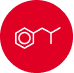 Pepp Logo